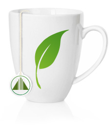 antioxidant green tea